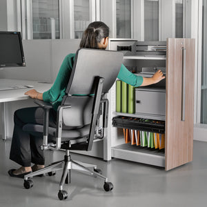 Sin reposa cabeza / Era Ónix CSE14