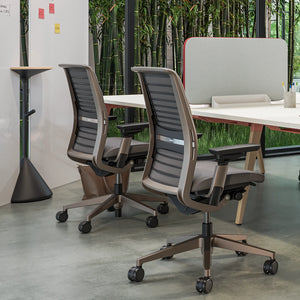 Sin reposa cabeza / Era Trufa CSE02