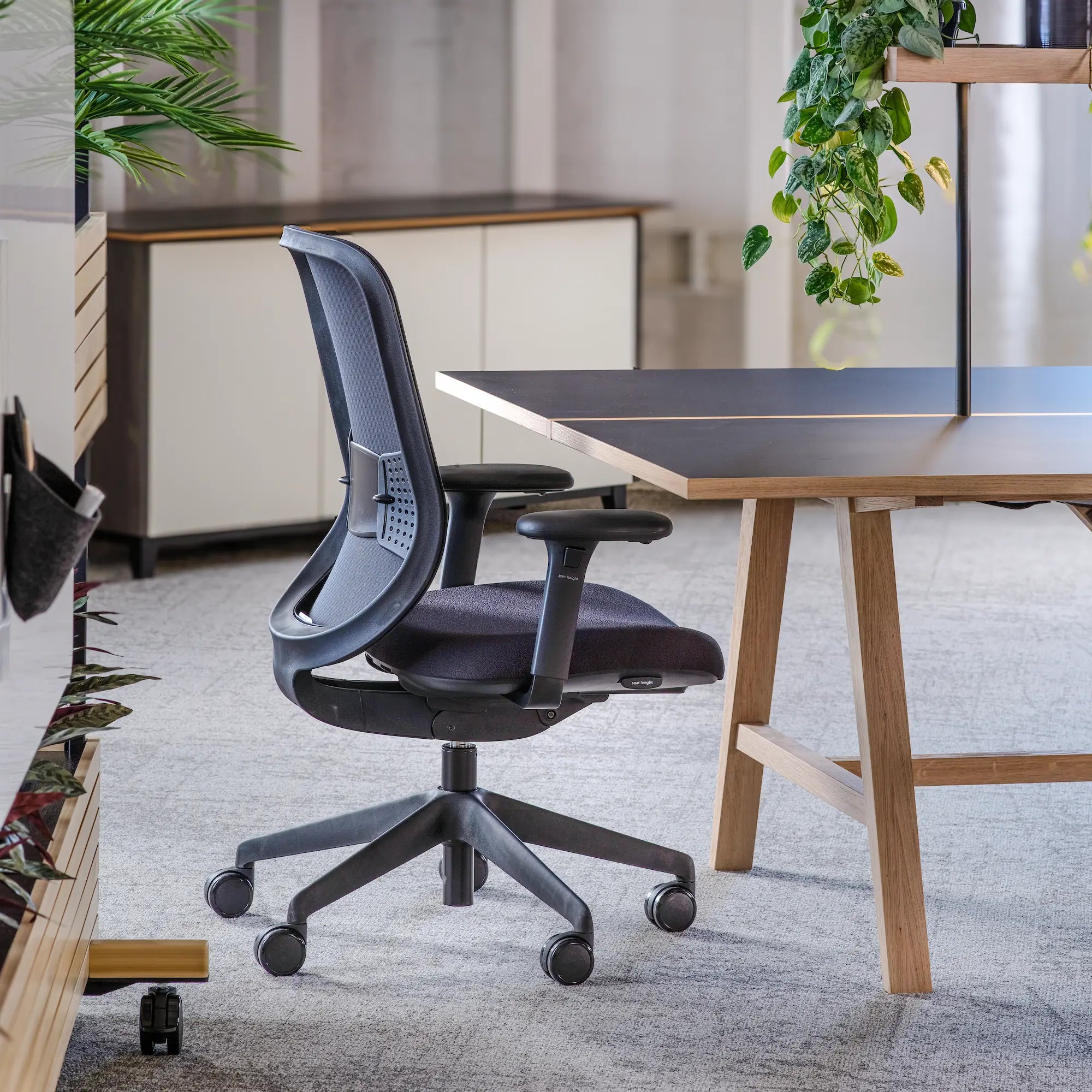 Sin reposa cabeza / Malla Negra/Era Ónix CSE14