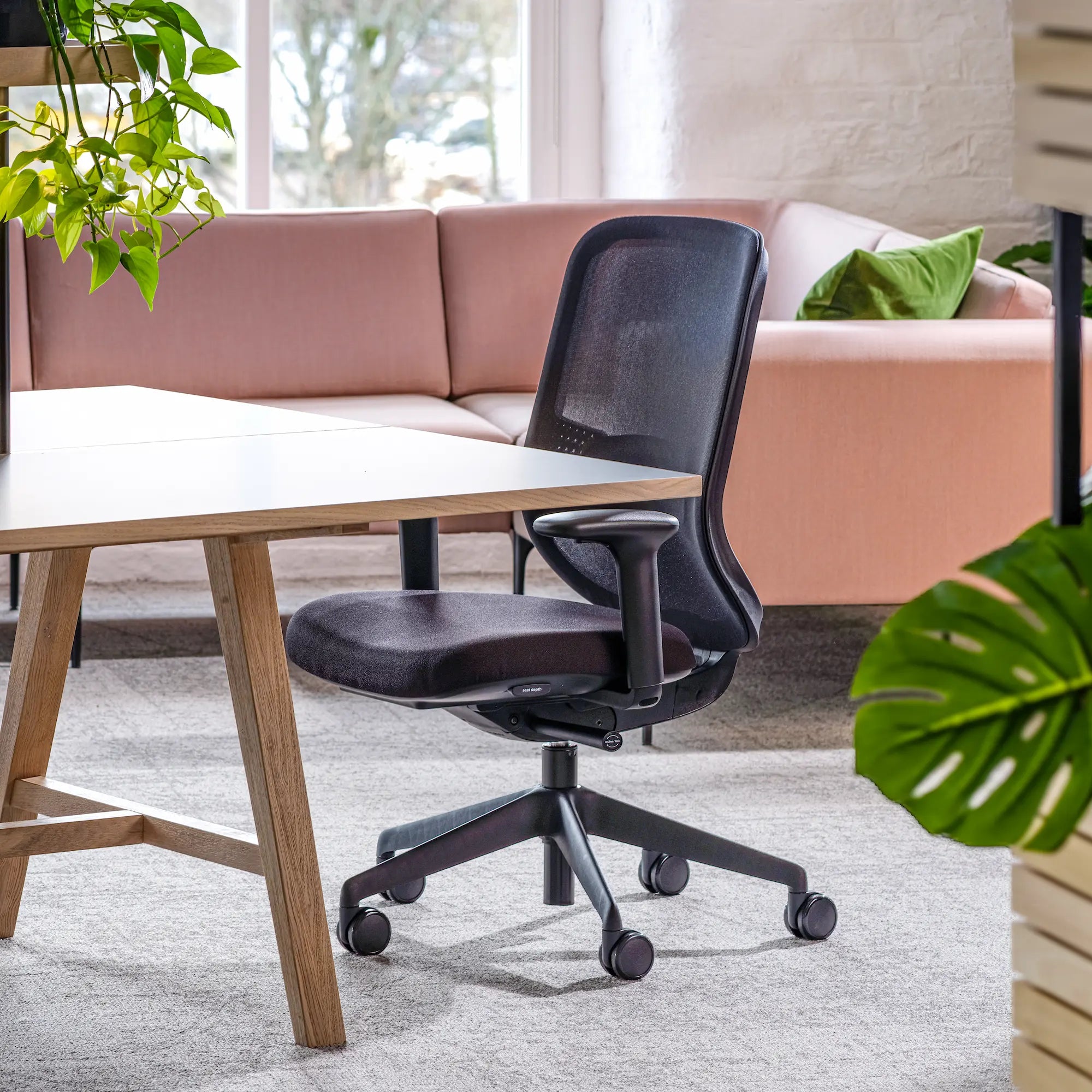 Sin reposa cabeza / Malla Negra/Era Ónix CSE14