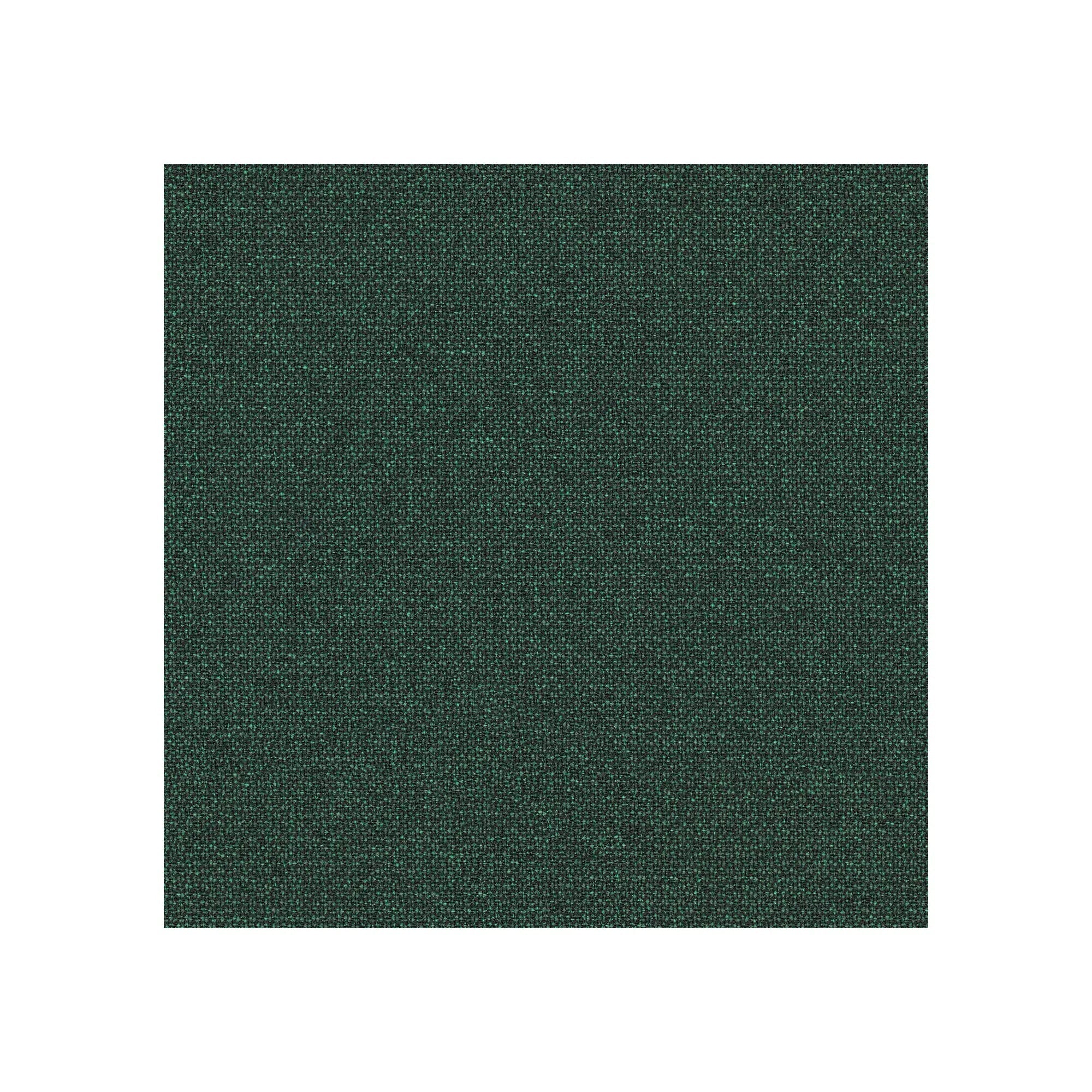 Con reposa cabeza / Renewed Loop Selva Profunda LR13