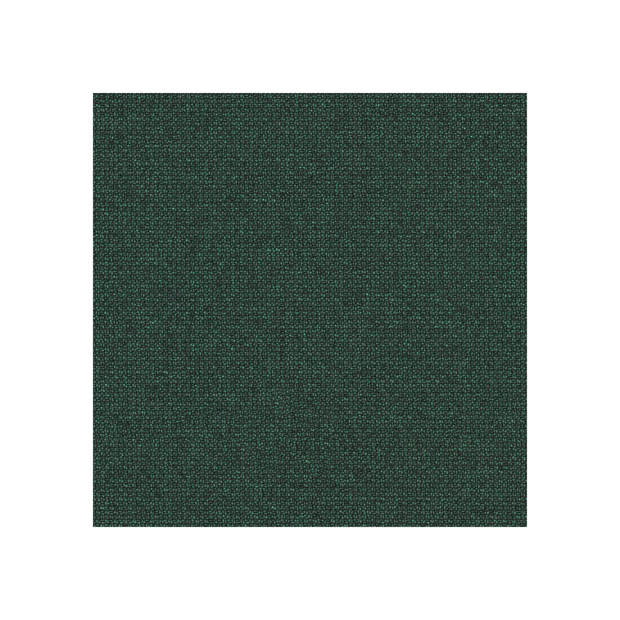 Sin reposa cabeza / Renewed Loop Selva Profunda LR13