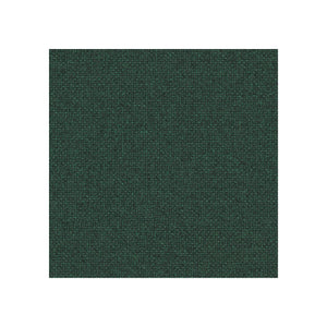 Sin reposa cabeza / Renewed Loop Selva Profunda LR13