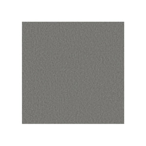 Respaldo sin recubrimiento trasero / Era Gris Búho CSE13