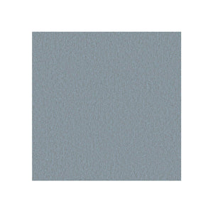 Con reposa cabeza / Era Nube Tormenta CSE43