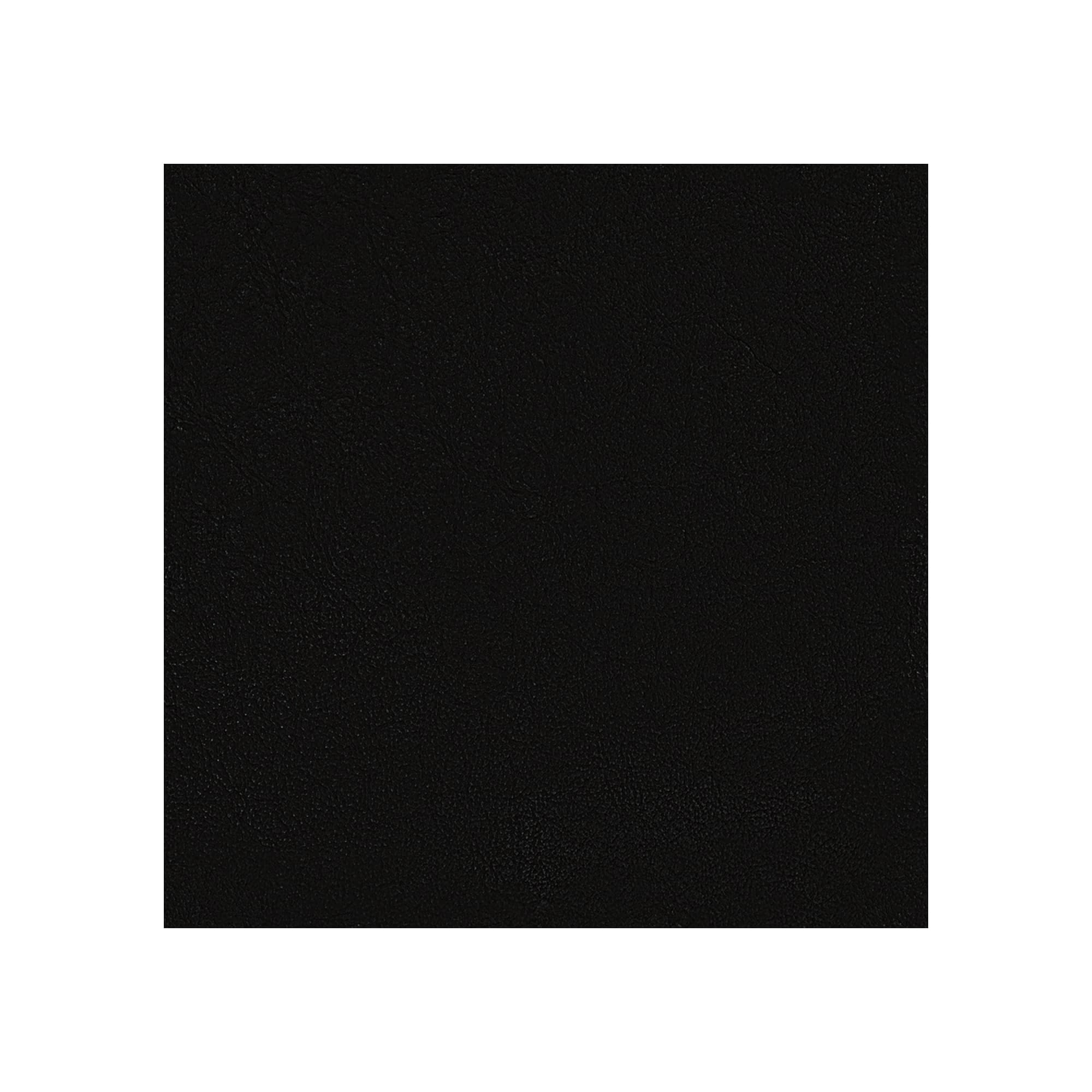 Sin reposa cabeza / Europe Leather Negro 0273