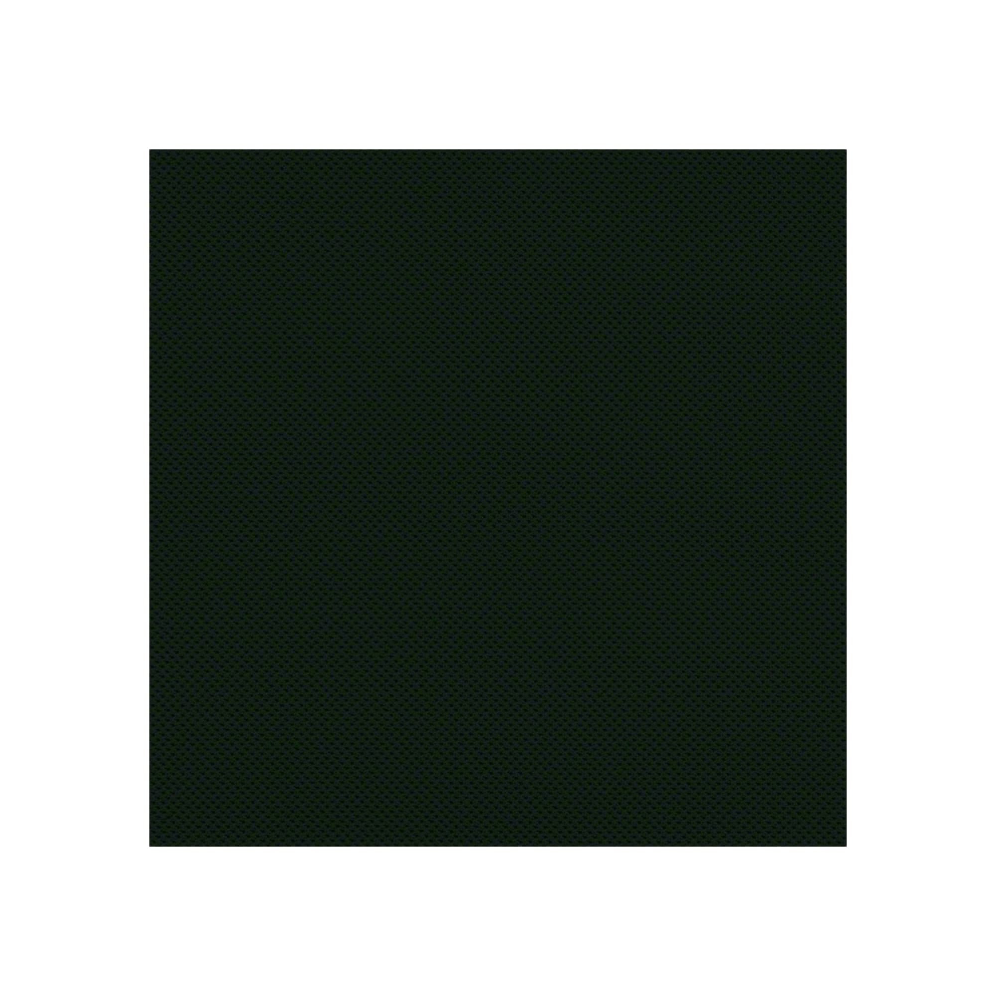 Sin reposa cabeza / Atlantic Negro AT04